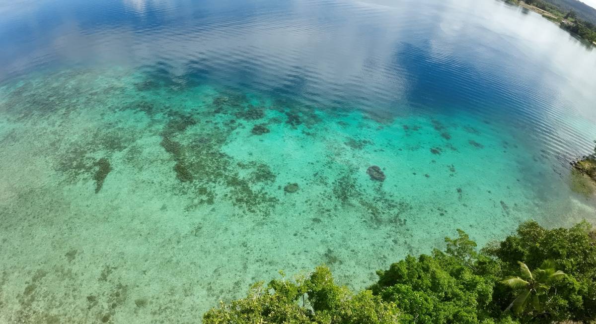 Clear turquoise water over coral reef beside a bush-covered shore at Havannah